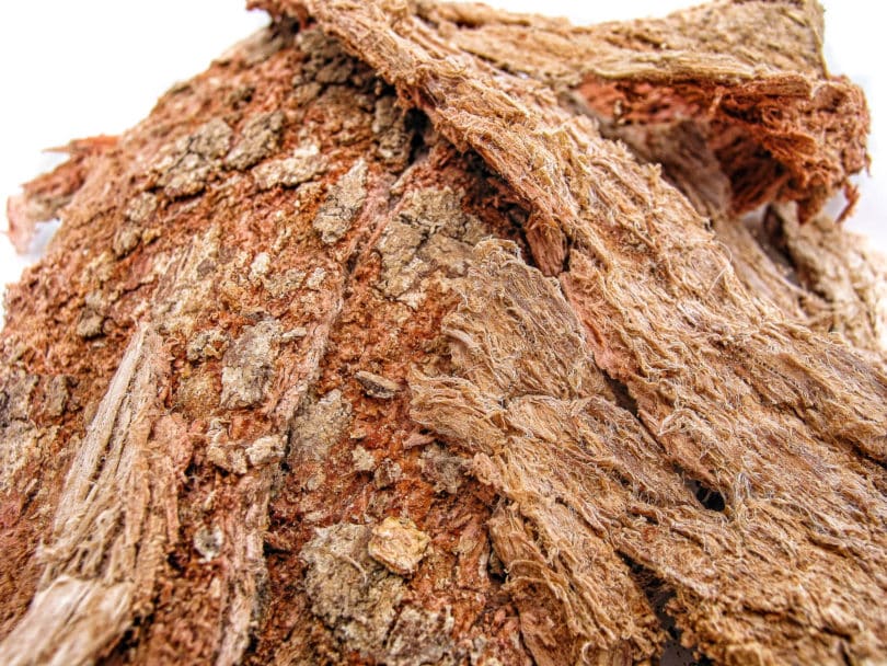 The bark of Semialarium mexicanum is sold in Mexico as Cancerina