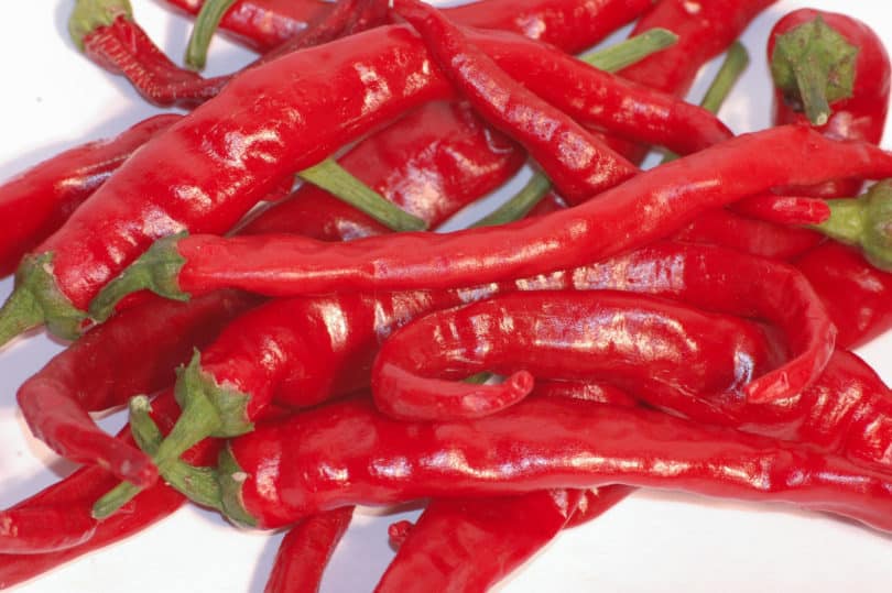 Die Chilisorte Cayenne Long Slim gehört zur Art Capsicum annuum