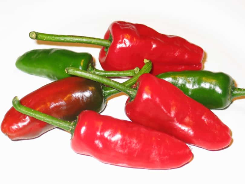 Diese Capsicum annuum Sorte Chile de El Salvador ist robust und ertragreich