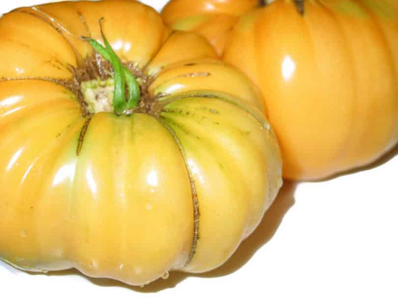 Elfie - Solanum lycopersicum - Tomatensorte