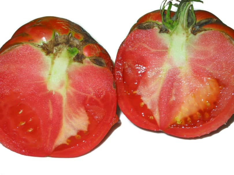 Die Tomaten dieser Sorte aus Neapel sind groß, saftig und sehr schmackhaft