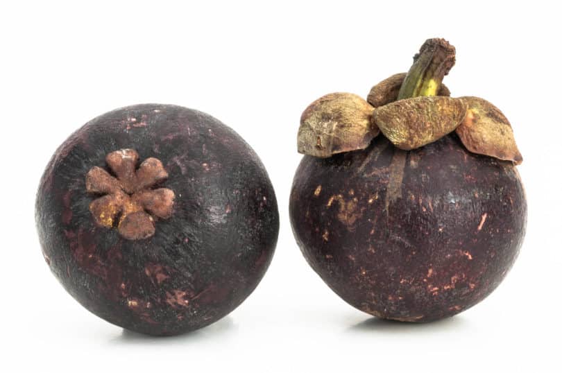 Mangostane - Garcinia mangostana