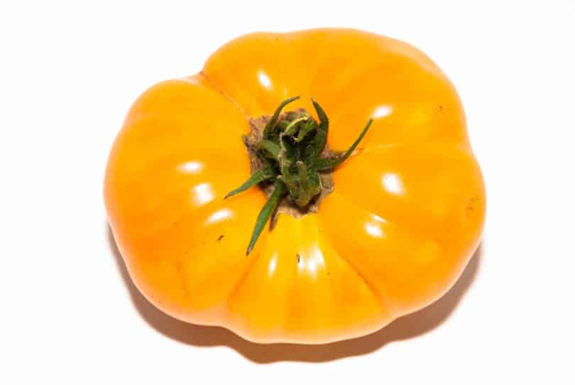 Die Früchte  der Tomate Hughs sind gerippt, groß und besitzen viele Fruchtkammern