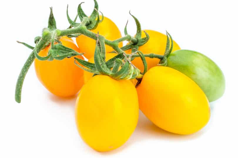 Die Tomatensorte Japanisches Ei
