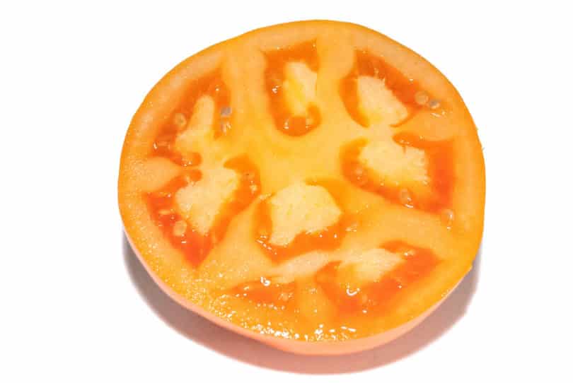 Kasachstan Orange