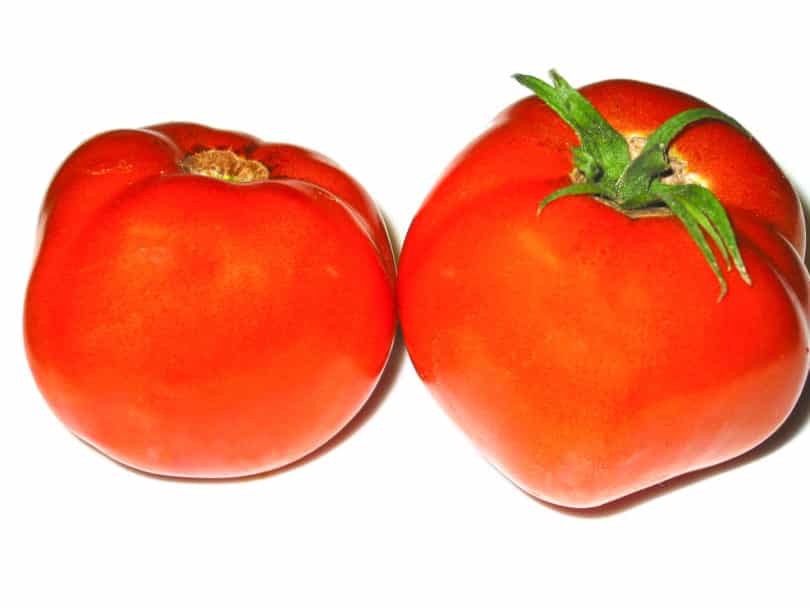Reife Tomaten
