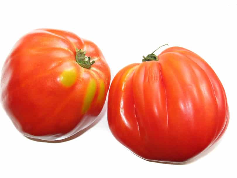 Die Tomatensorte ist ertragreich und schmeckt sehr gut