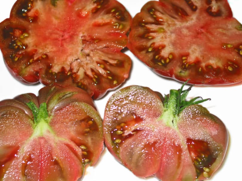 Die Früchte von Purple Calabash sind schwarz-rot gefärbt und gerippt.
