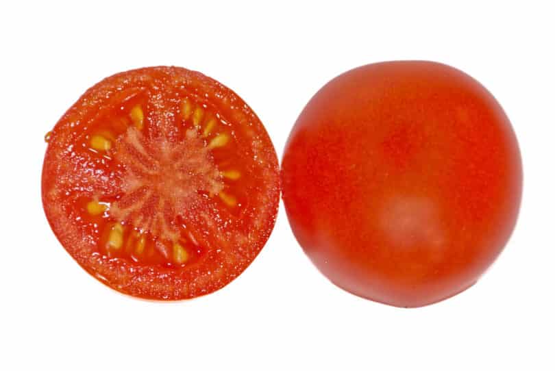 The Amateur - Solanum lycopersicum - Tomatensorte